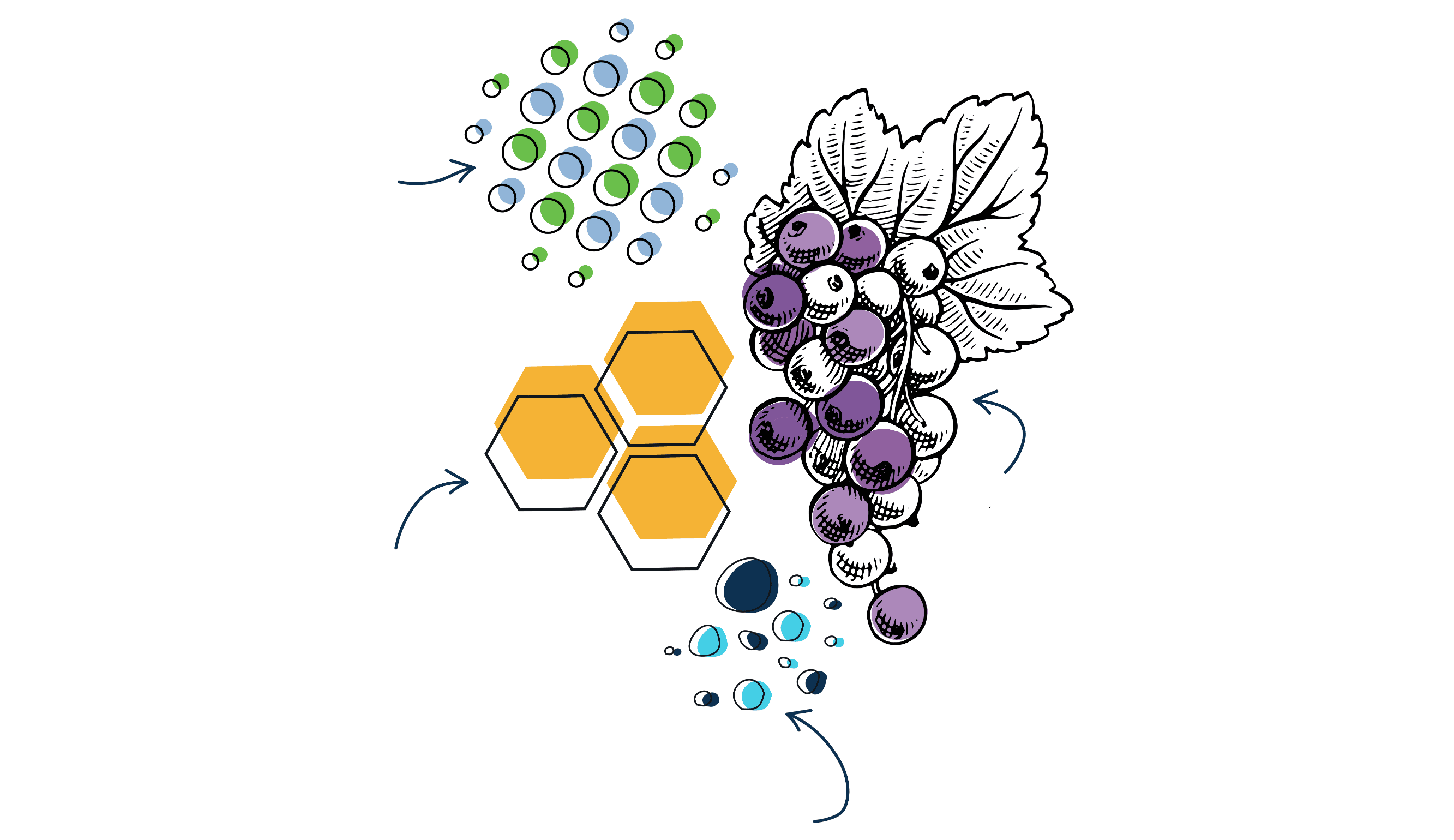 ntg-big-ingredients