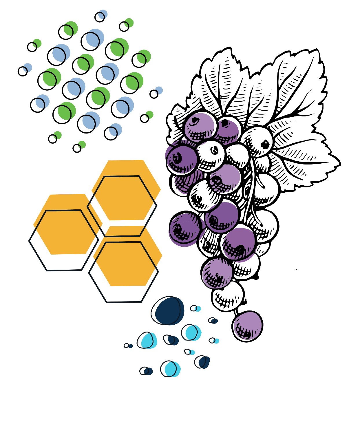 ntg-small-ingredients