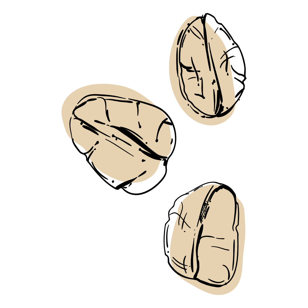 ntg-beta-glucan